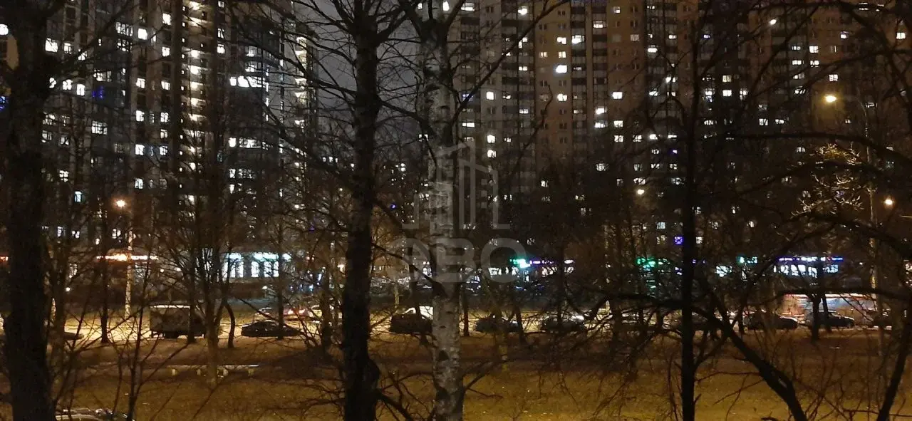 трехкомнатная квартира в Санкт-Петербурге по адресу: Космонавтов проспект, 64