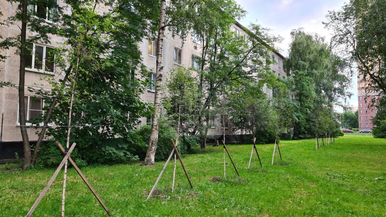 однокомнатная квартира в Санкт-Петербурге по адресу: Народная ул., 59, литера к