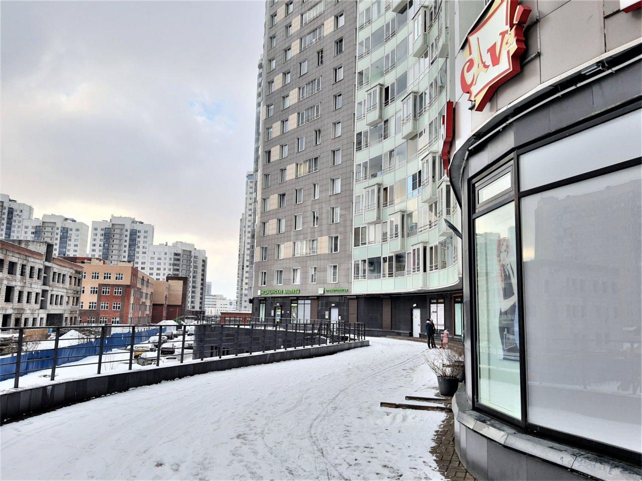 однокомнатная квартира в Санкт-Петербурге по адресу: Туристская ул., 30, к 2