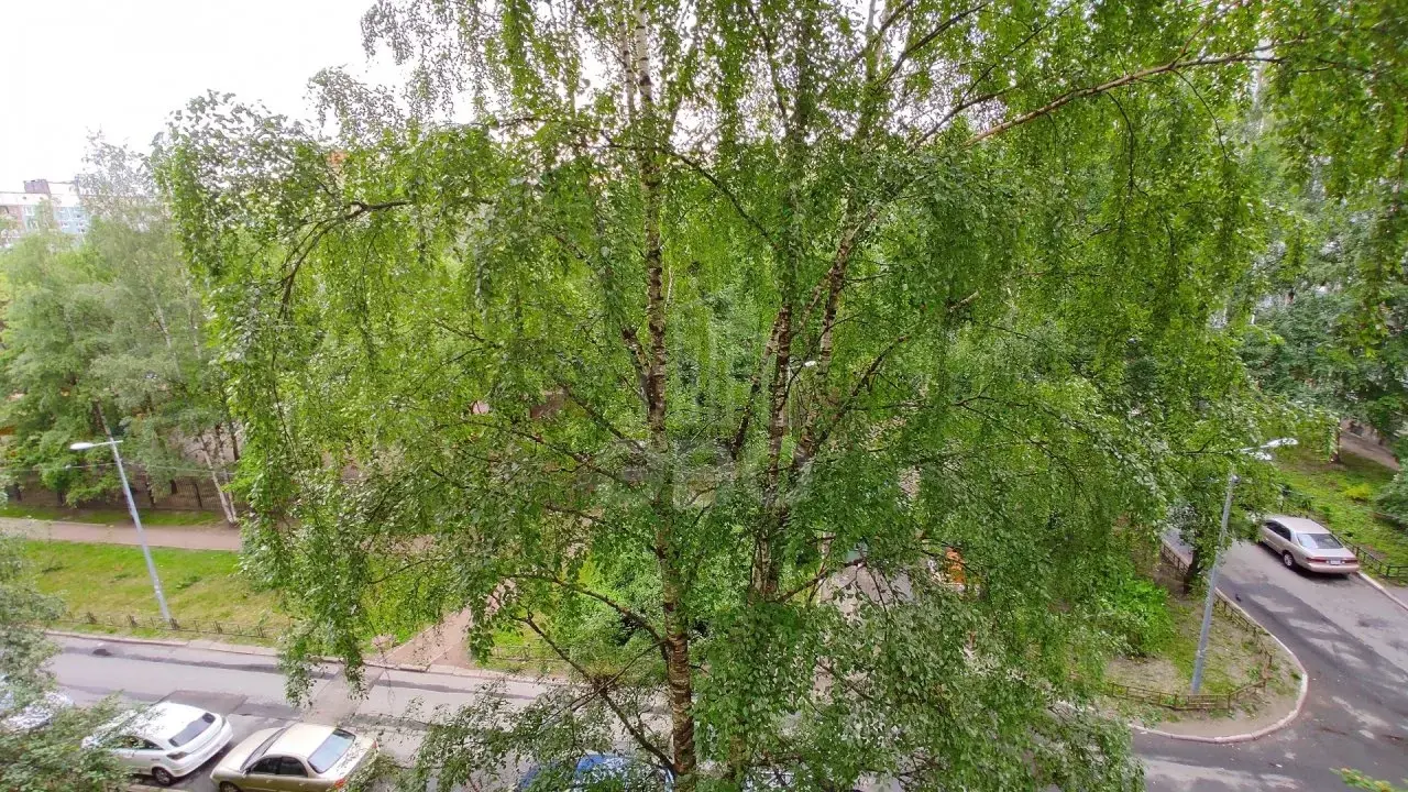 трехкомнатная квартира в Санкт-Петербурге по адресу: Учебный пер., 10, к 1