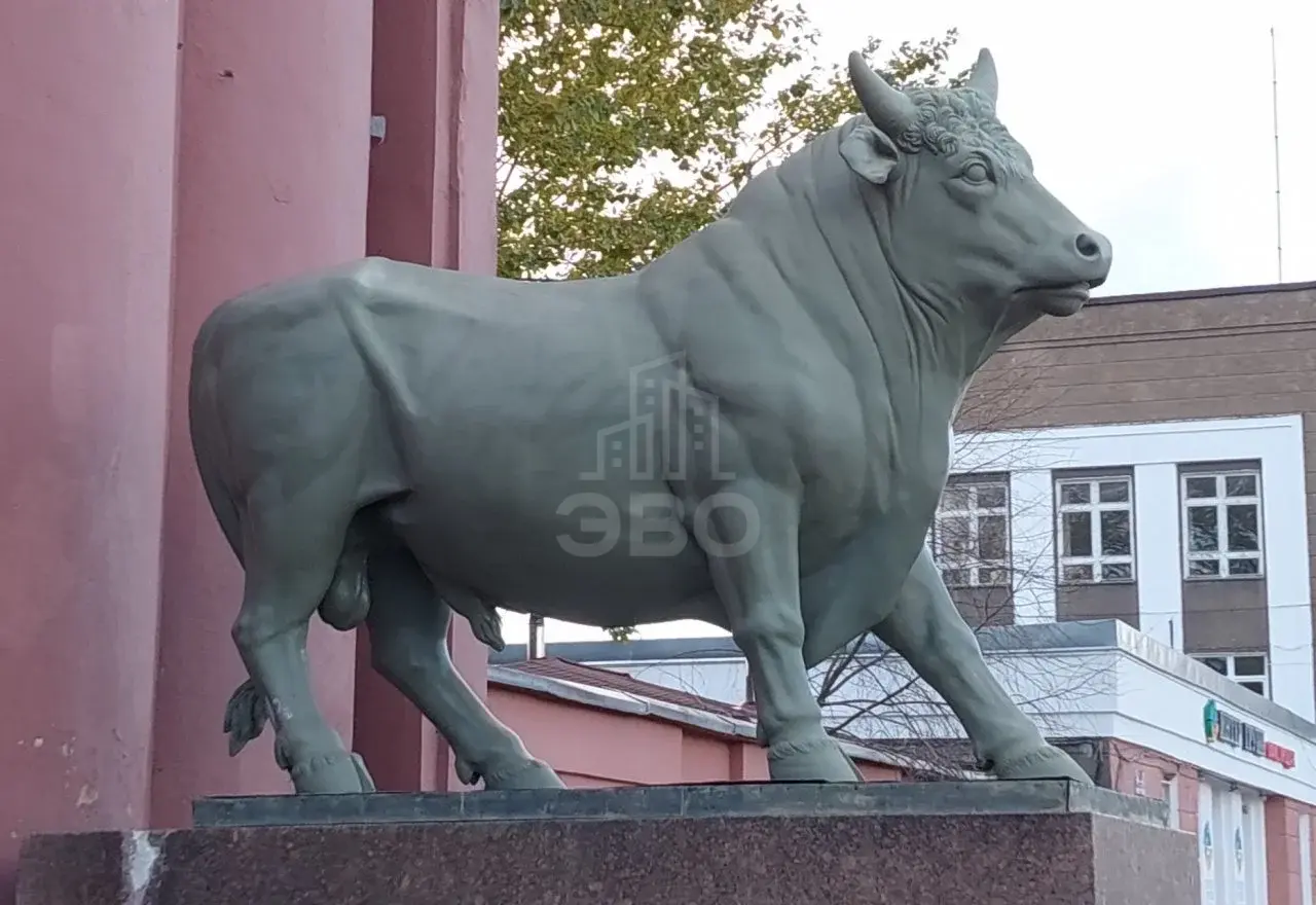 однокомнатная квартира в Санкт-Петербурге по адресу: Фёдора Котанова ул., 3, к 2