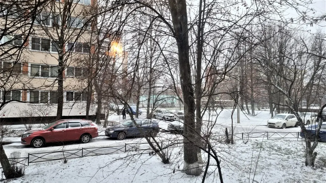 однокомнатная квартира в Санкт-Петербурге по адресу: Тимуровская ул., 10, к 1