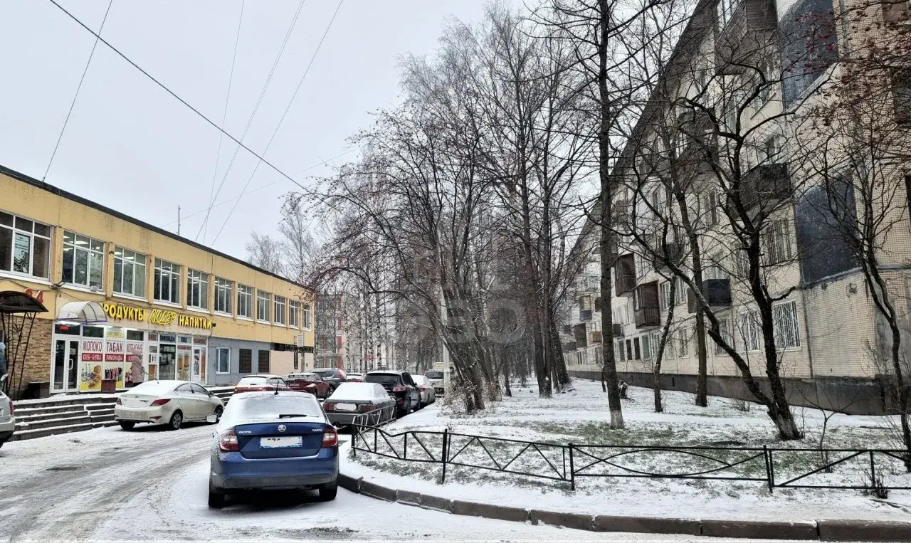 однокомнатная квартира в Санкт-Петербурге по адресу: Тимуровская ул., 10, к 1