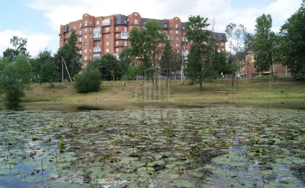 однокомнатная квартира в Санкт-Петербурге по адресу: 2-я Алексеевская ул., 7