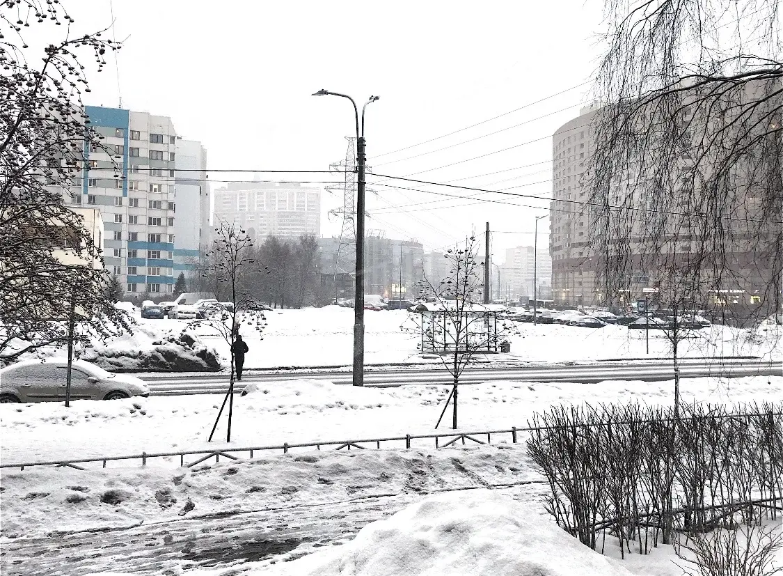 трехкомнатная квартира в Санкт-Петербурге по адресу: Камышовая ул., 2, к 1