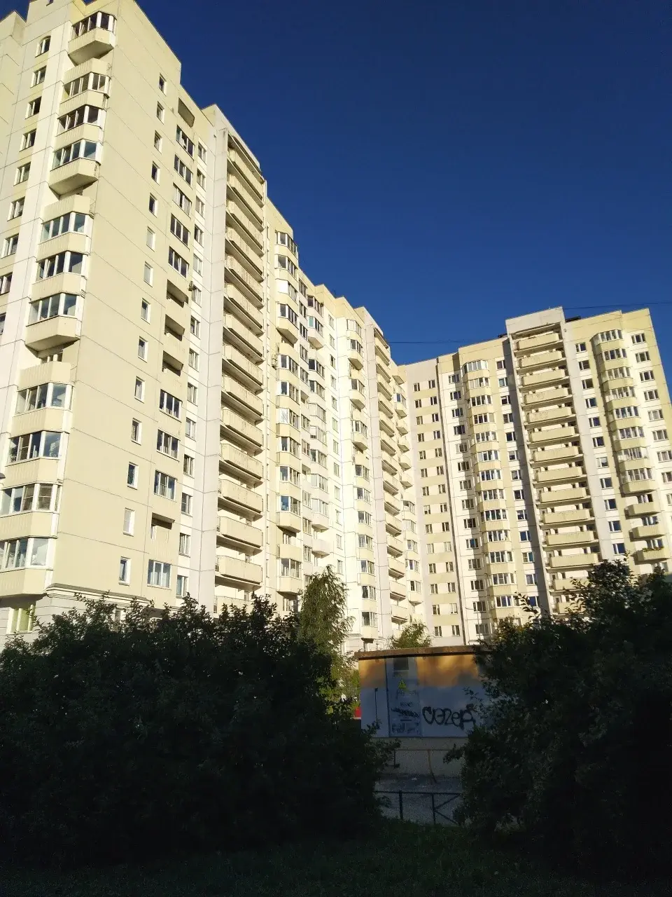 однокомнатная квартира в Санкт-Петербурге по адресу: Авиаконструкторов проспект, 20, к 1