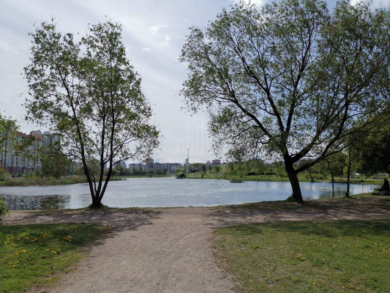 однокомнатная квартира в Санкт-Петербурге по адресу: Мартыновская ул., 14, к 1