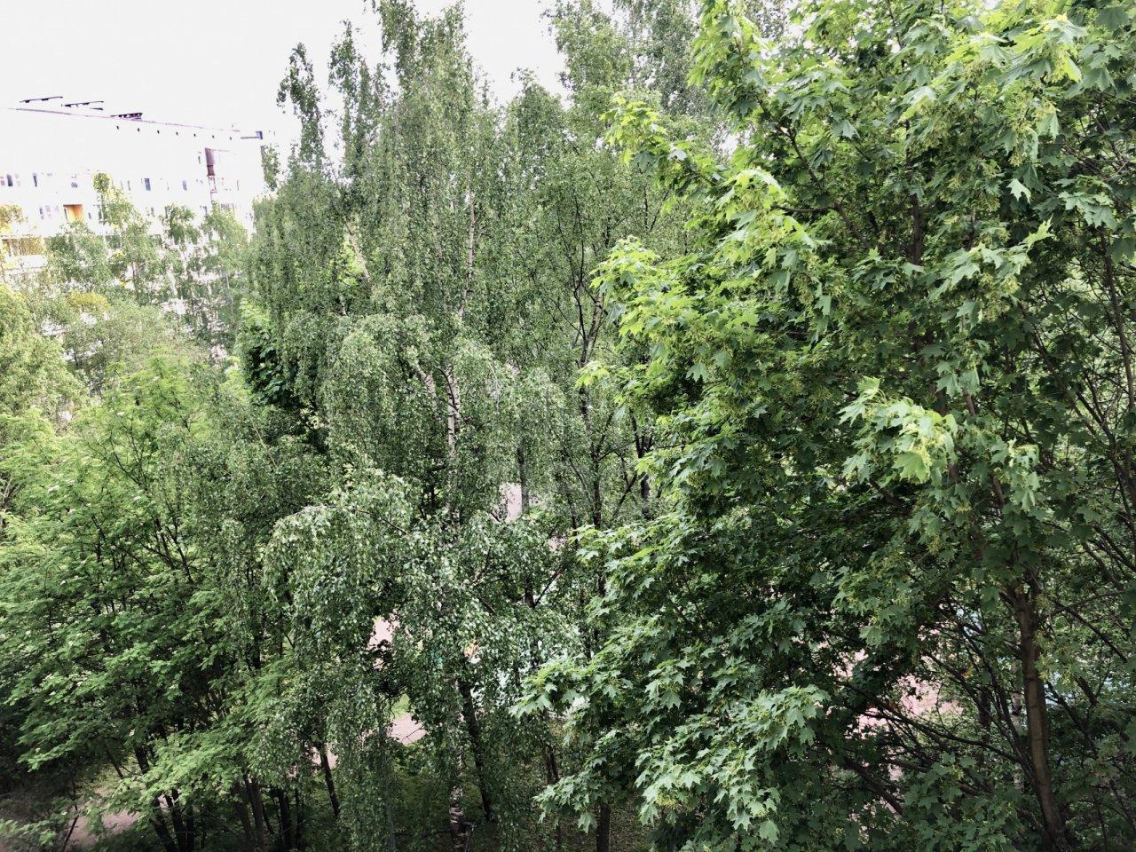 однокомнатная квартира в Санкт-Петербурге по адресу: Художников проспект, 13, к 4