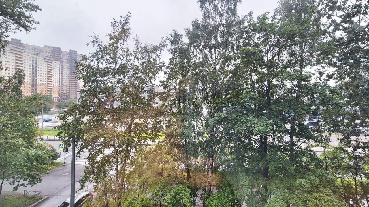 однокомнатная квартира в Санкт-Петербурге по адресу: Ушинского ул., 19