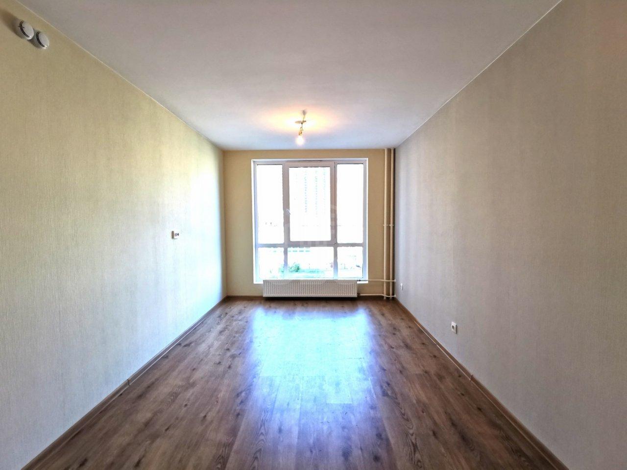 однокомнатная квартира в Санкт-Петербурге по адресу: Толубеевский проезд, 8, к 2