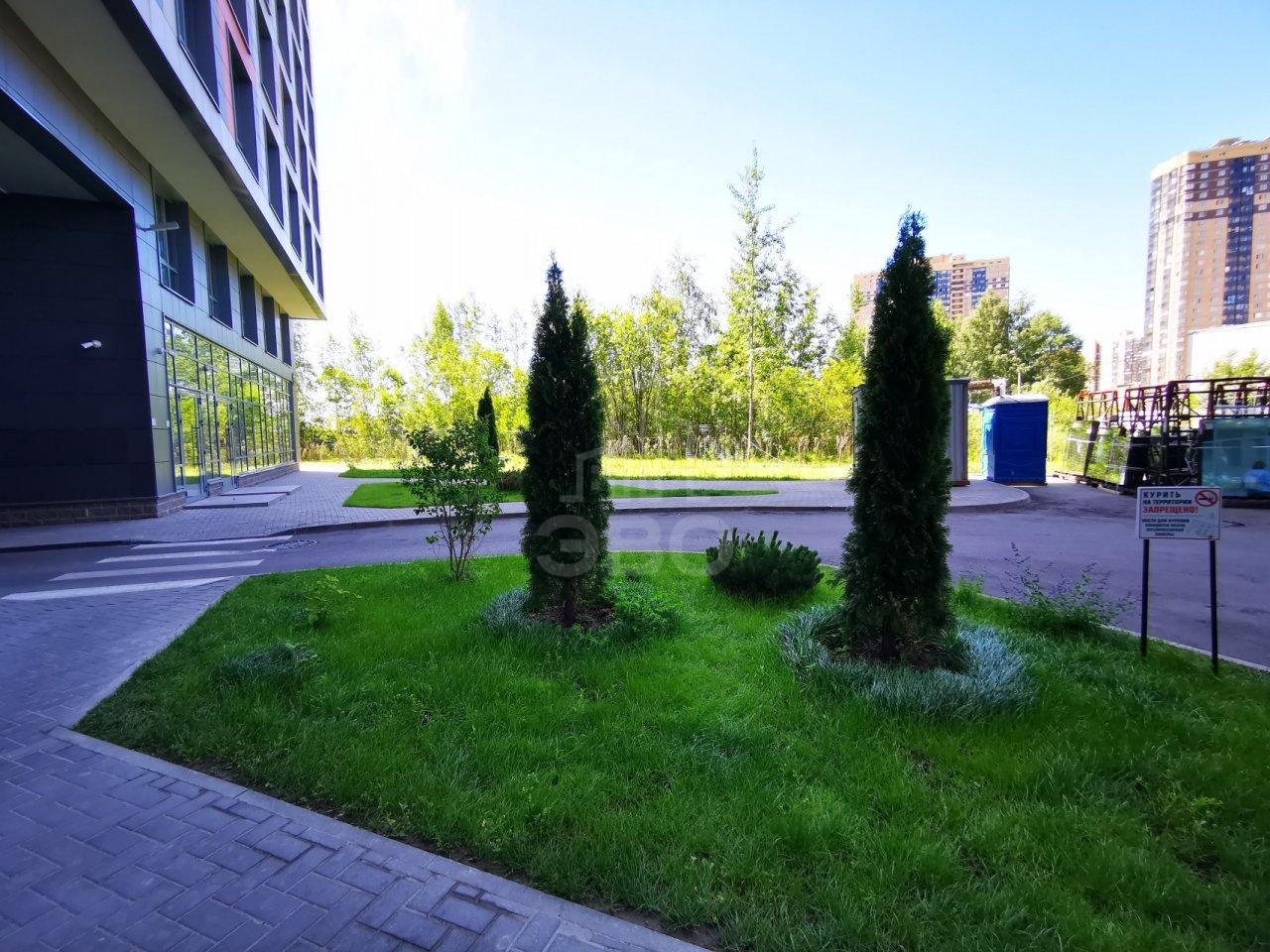 однокомнатная квартира в Санкт-Петербурге по адресу: Толубеевский проезд, 8, к 2