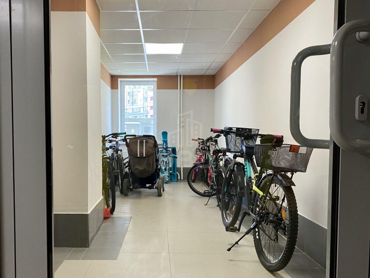 однокомнатная квартира в Санкт-Петербурге по адресу: Толубеевский проезд, 14, к 1