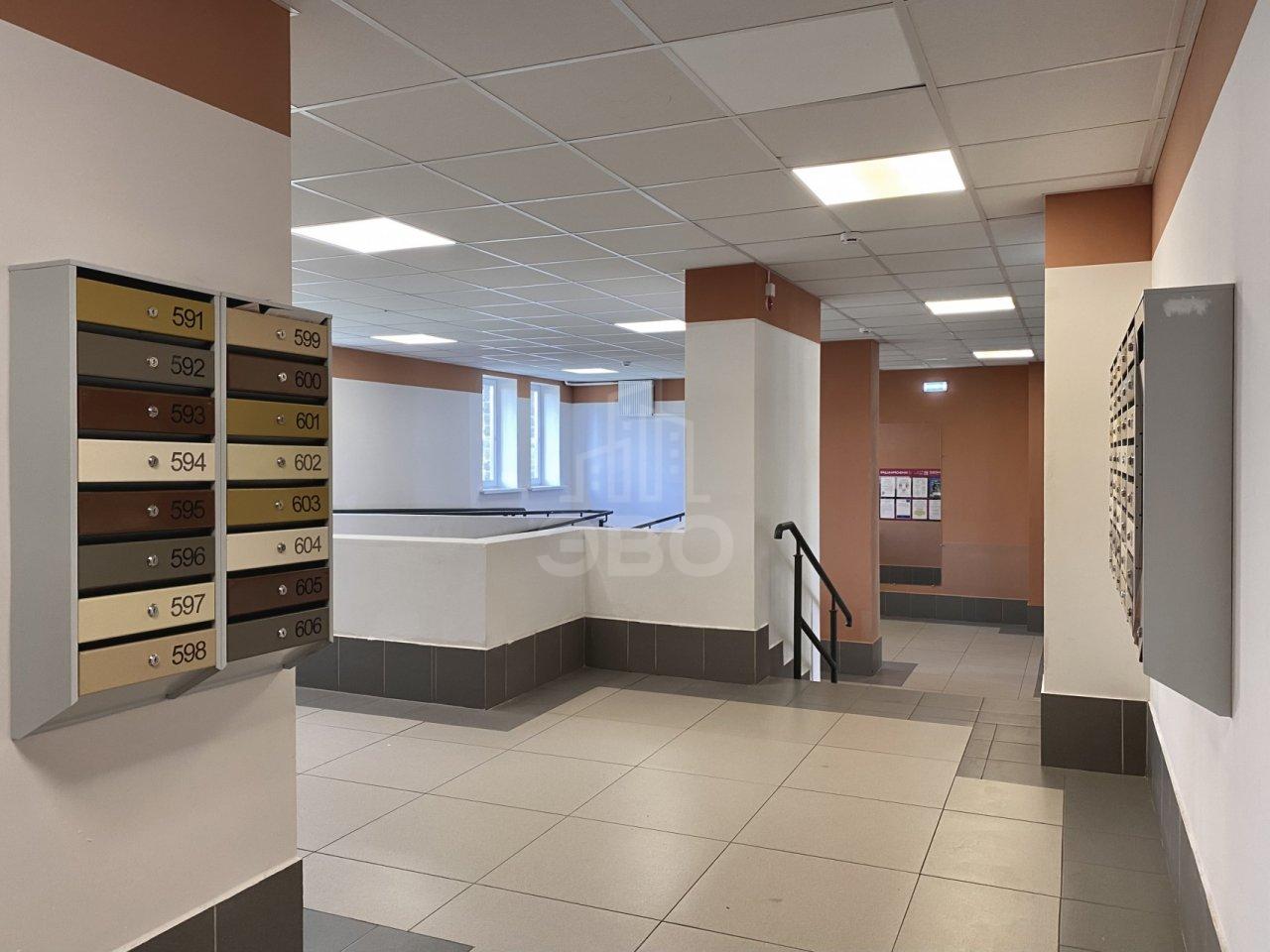 однокомнатная квартира в Санкт-Петербурге по адресу: Толубеевский проезд, 14, к 1