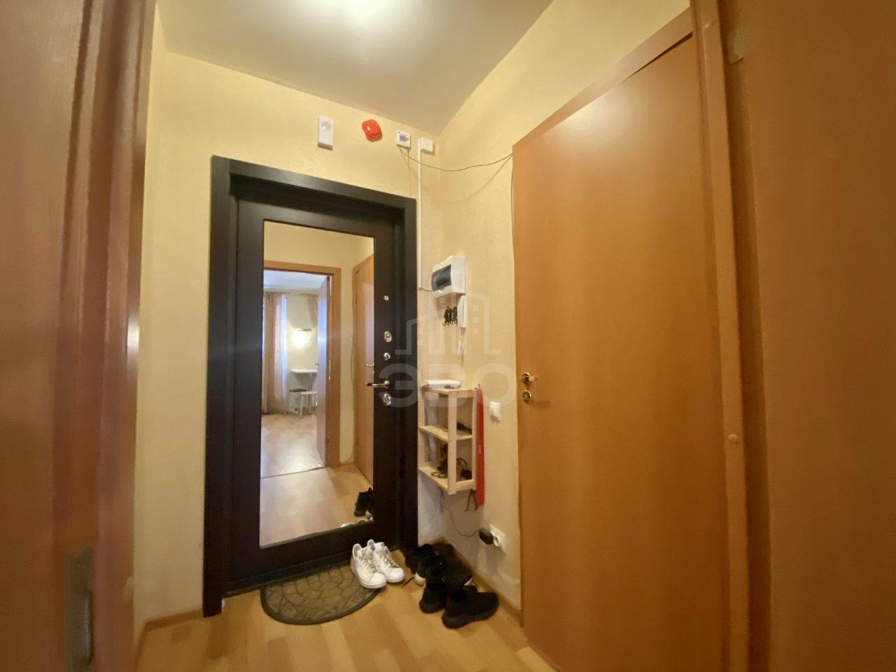 однокомнатная квартира в Санкт-Петербурге по адресу: Толубеевский проезд, 14, к 1