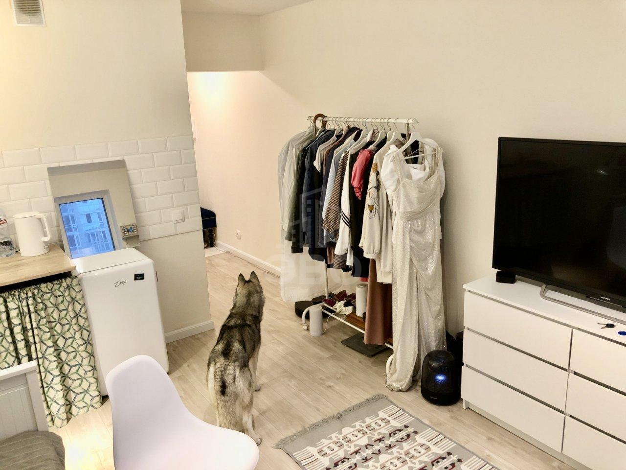 однокомнатная квартира в Санкт-Петербурге по адресу: Александра Грина б-р., 2, к 1