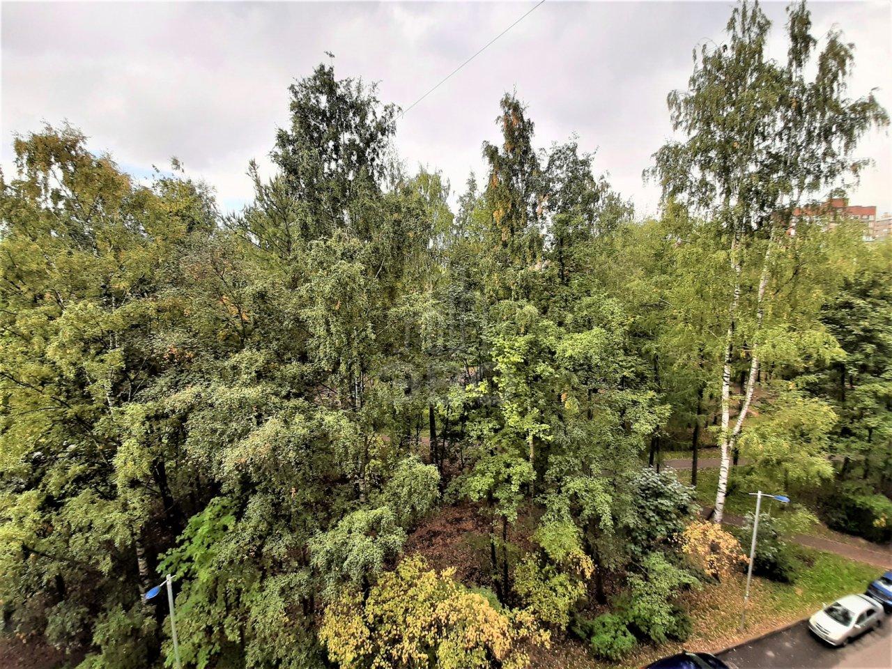 однокомнатная квартира в Санкт-Петербурге по адресу: Руставели ул., 52