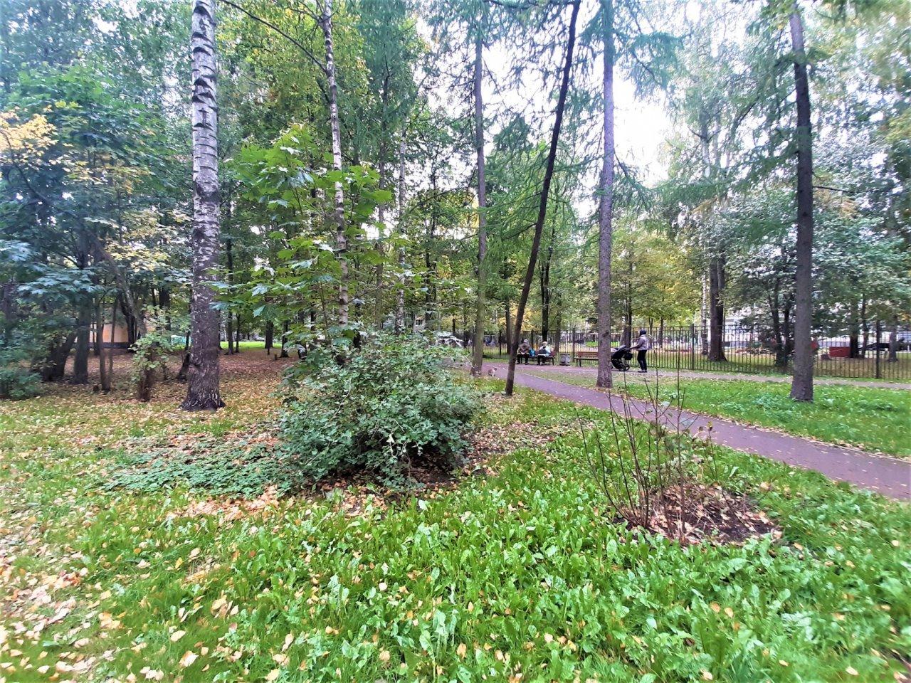 однокомнатная квартира в Санкт-Петербурге по адресу: Руставели ул., 52