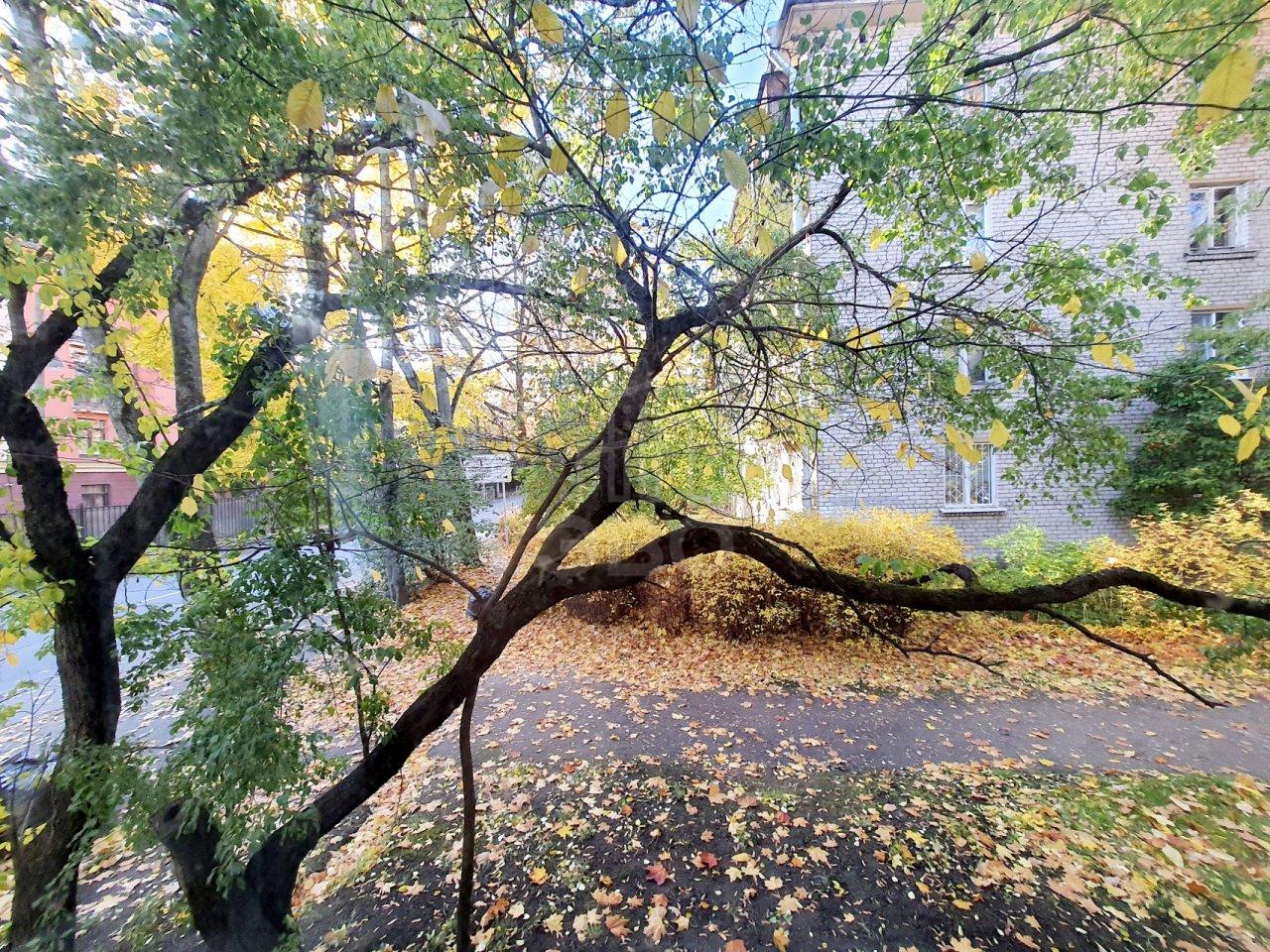 двухкомнатная квартира в Санкт-Петербурге по адресу: Дибуновская ул., 31