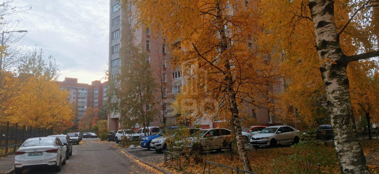 однокомнатная квартира в Санкт-Петербурге по адресу: Ильюшина ул., 13, к 2