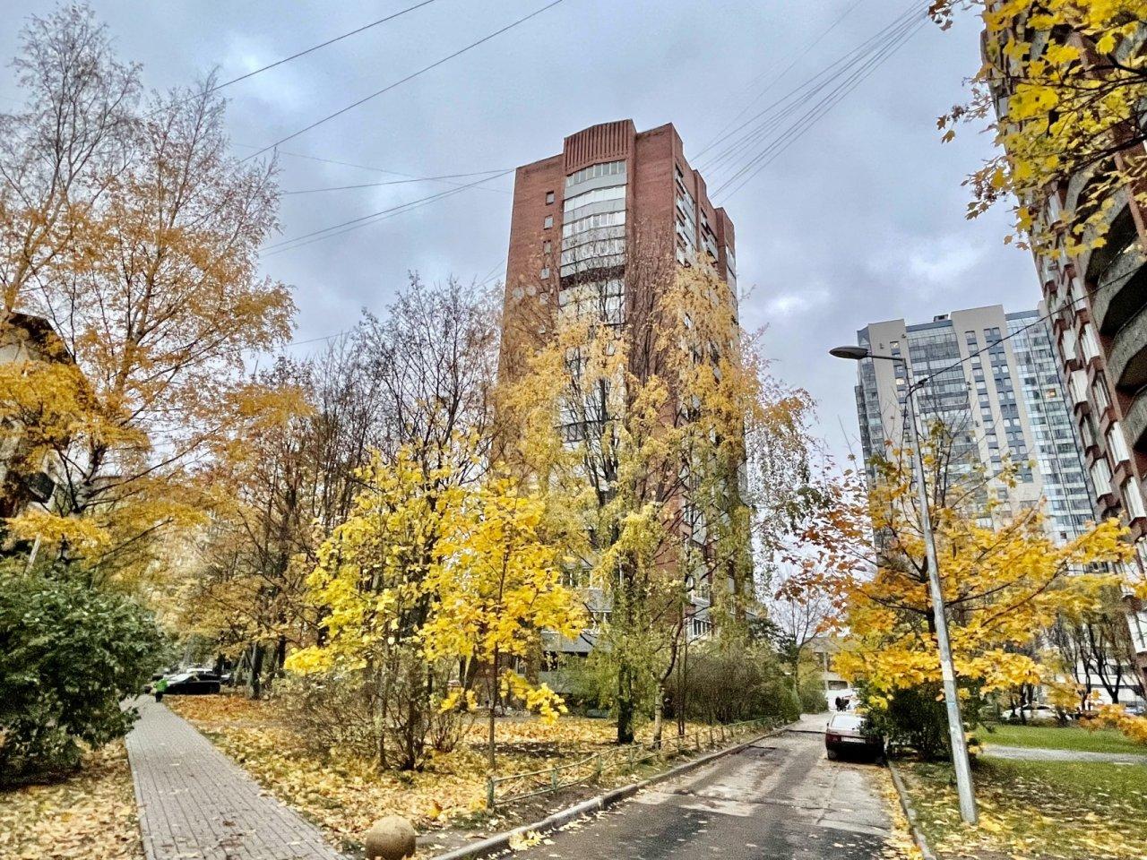 двухкомнатная квартира в Санкт-Петербурге по адресу: Культуры проспект, 18, к 2