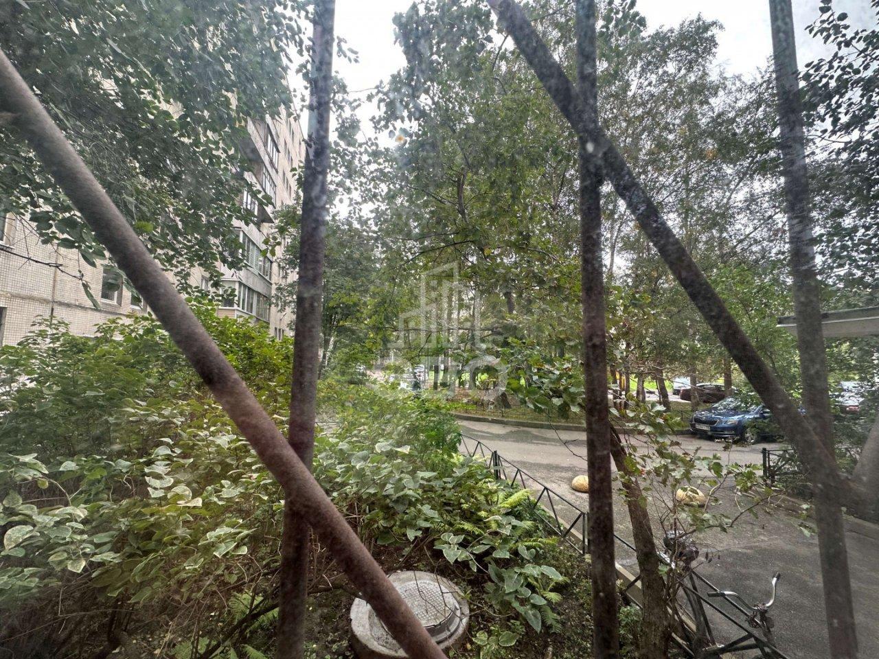 двухкомнатная квартира в Санкт-Петербурге по адресу: Белышева ул., 4, литера м