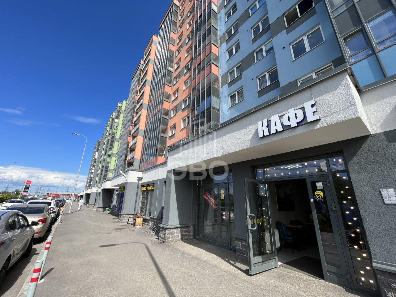 однокомнатная квартира в Санкт-Петербурге по адресу: Пискарёвский проспект, 165, к 1