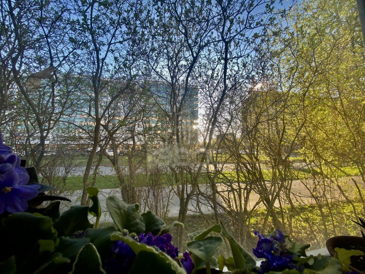 двухкомнатная квартира в Санкт-Петербурге по адресу: Тамбасова ул., 8, к 1