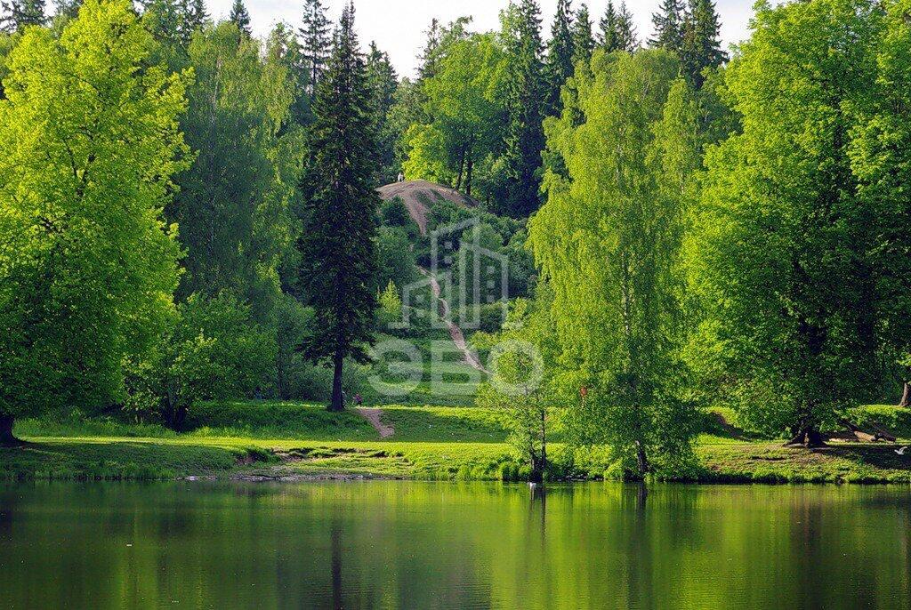 студия в Санкт-Петербурге по адресу: Михаила Дудина ул., 12