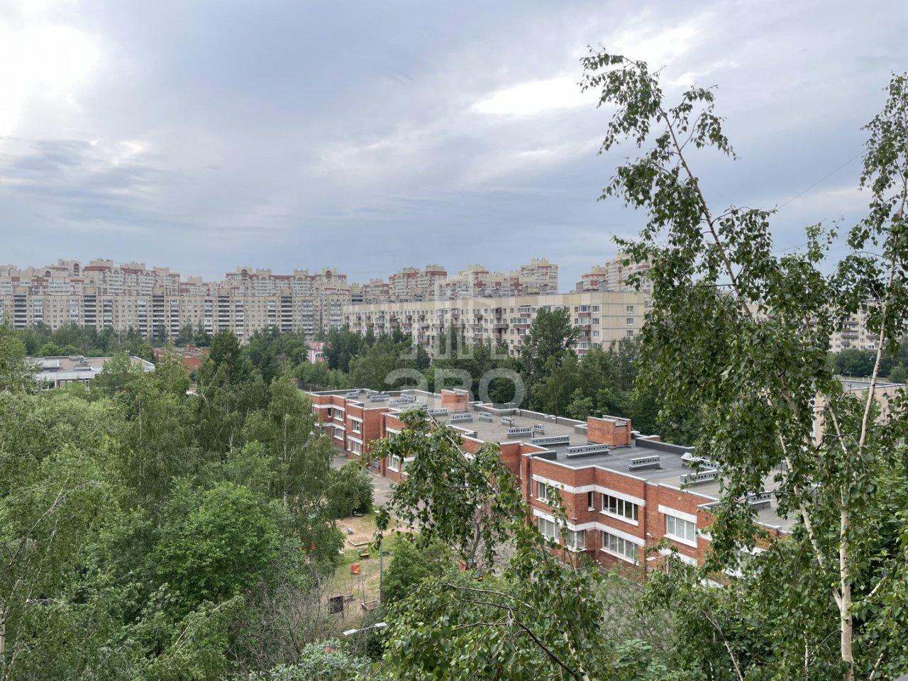 однокомнатная квартира в Санкт-Петербурге по адресу: Латышских Стрелков ул., 5, к 1