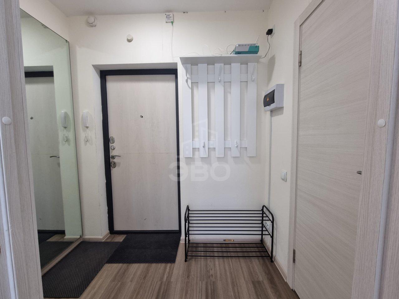 однокомнатная квартира в Санкт-Петербурге по адресу: Толубеевский проезд, 36, к 1