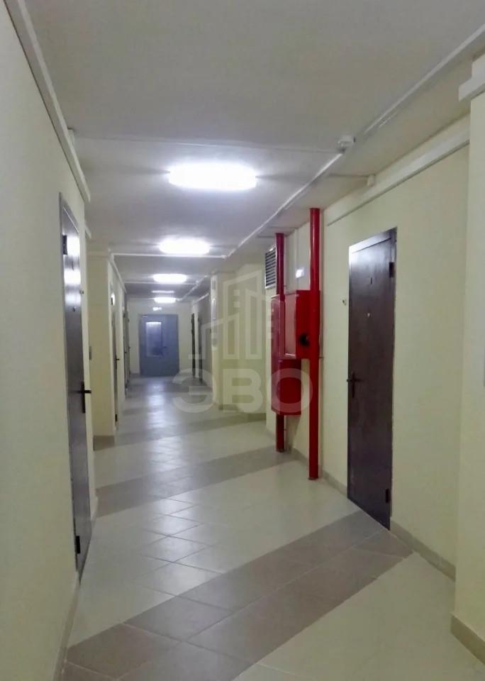 студия в Санкт-Петербурге по адресу: Шоссе в Лаврики ул., 59, к 1