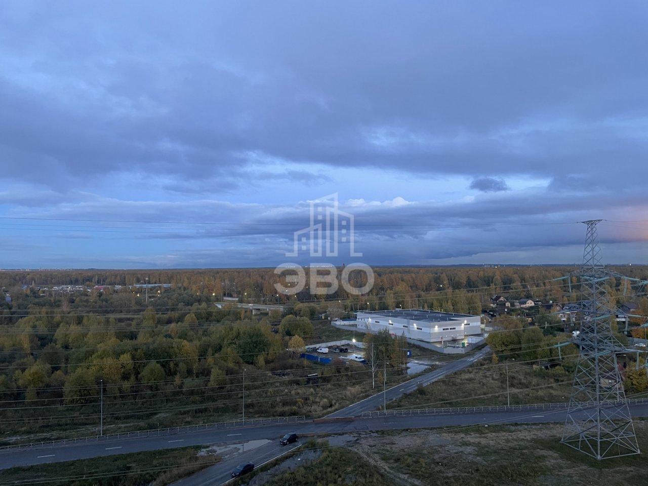 четырехкомнатная квартира в Санкт-Петербурге по адресу: Муринская дорога., 14, к 2