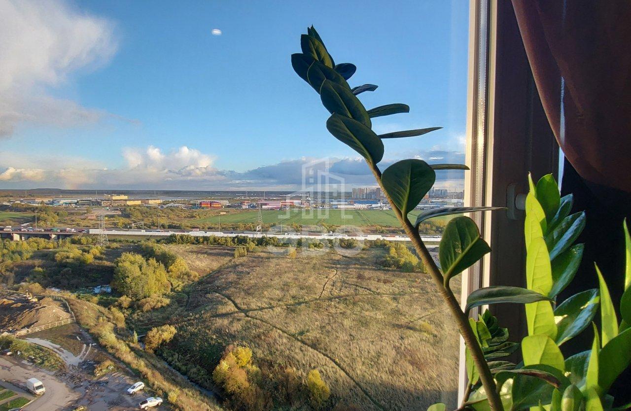 двухкомнатная квартира в Санкт-Петербурге по адресу: Русановская ул., 17, к 4, литера А