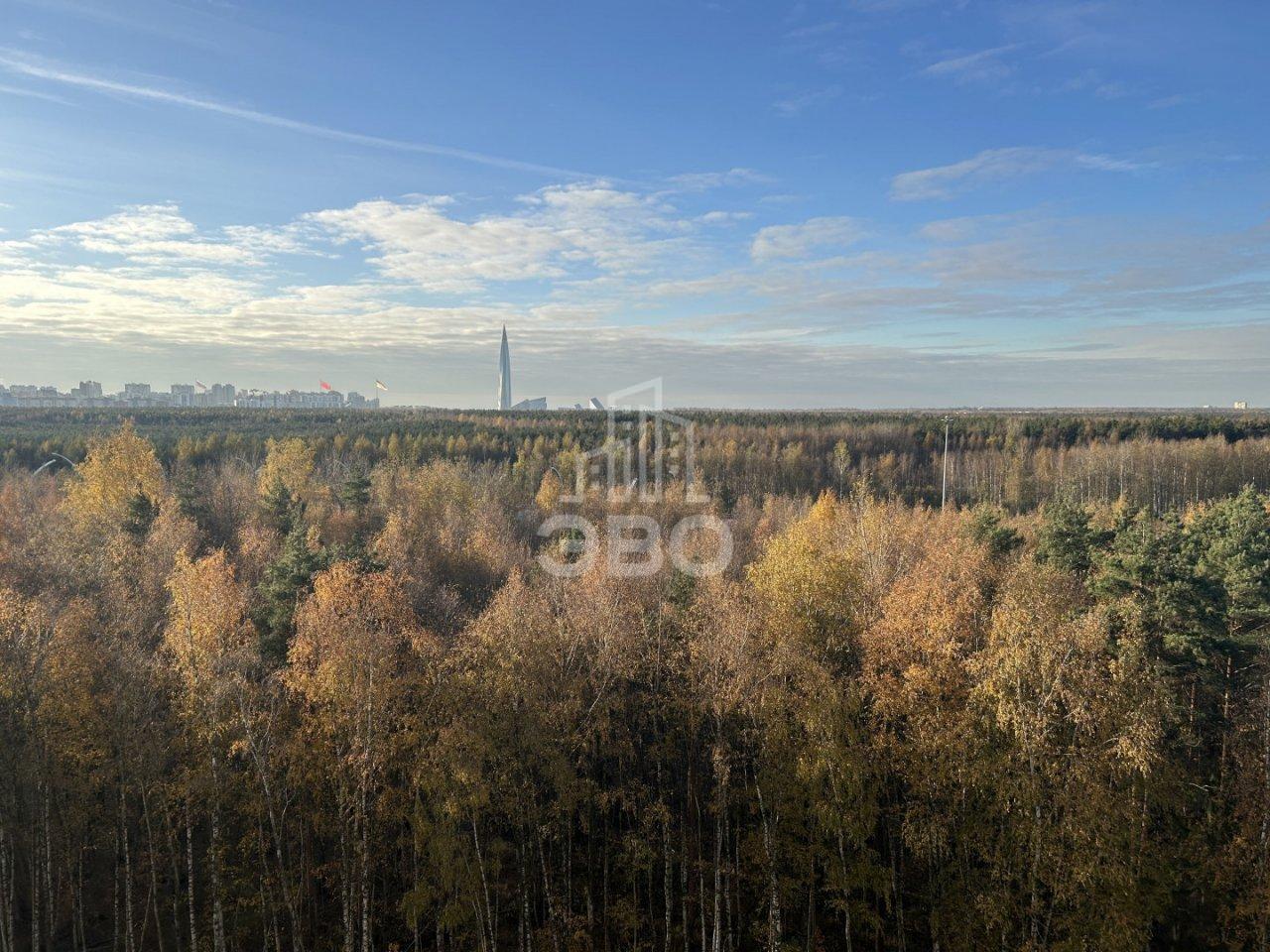 однокомнатная квартира в Санкт-Петербурге по адресу: Планерная ул., 87, к 1