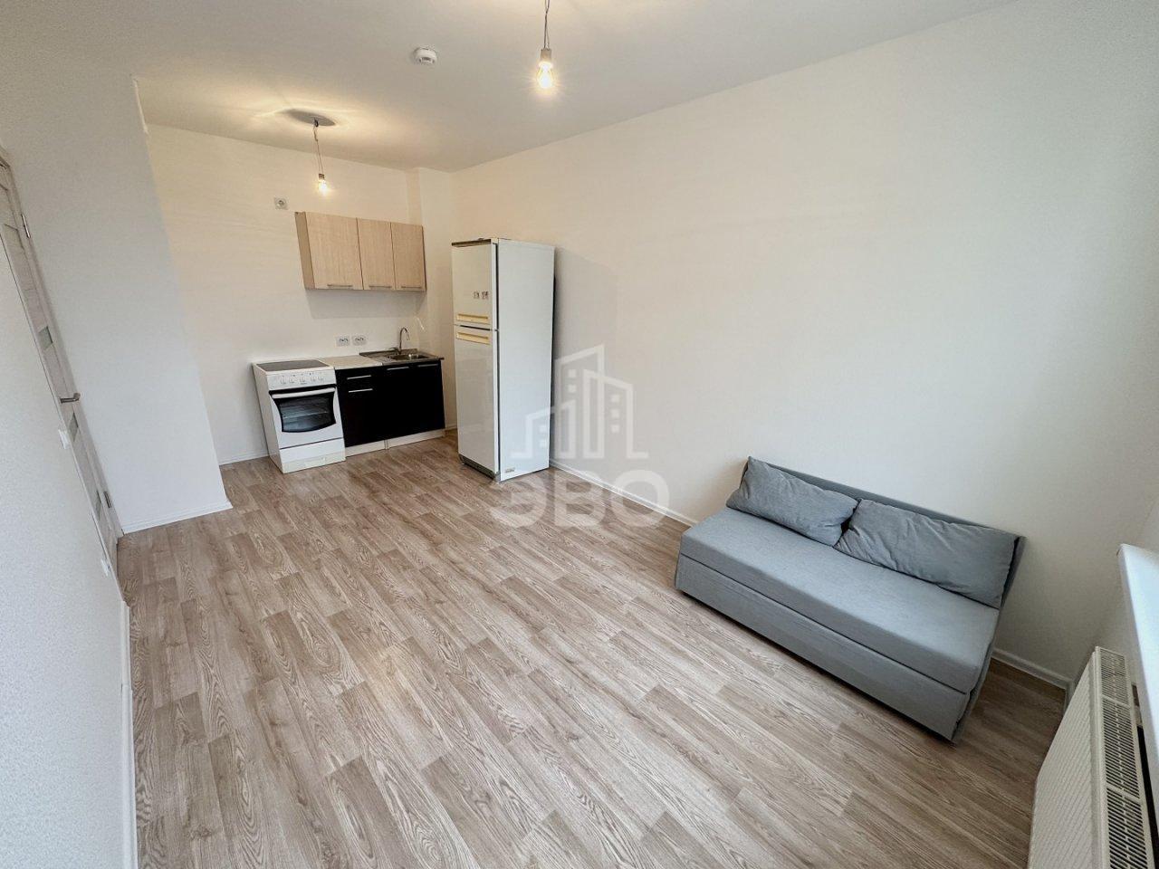 однокомнатная квартира в Санкт-Петербурге по адресу: Муринская дорога., 27, к 3