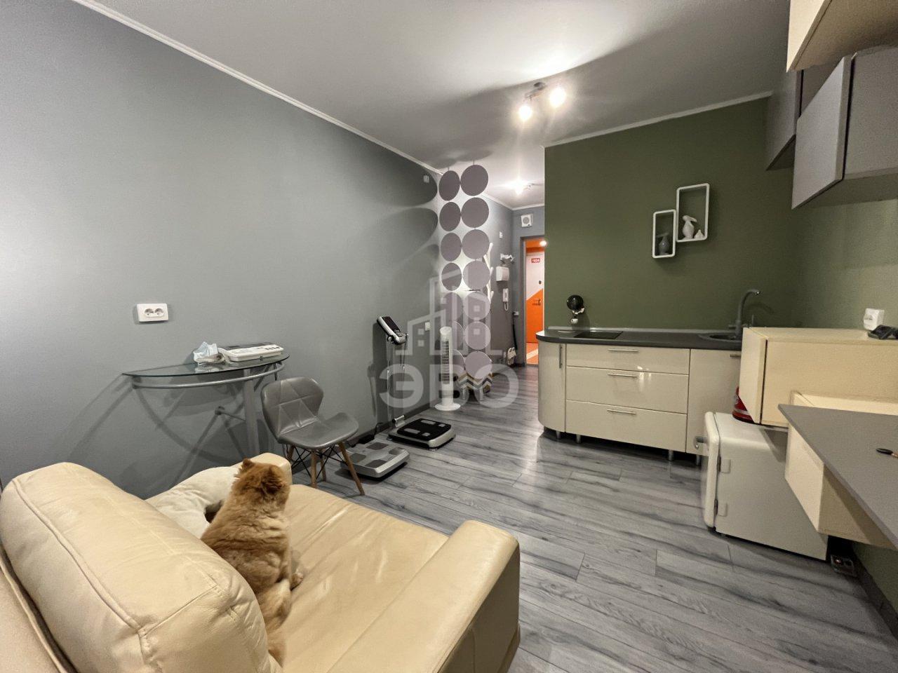 студия в Санкт-Петербурге по адресу: Толубеевский проезд, 8, к 2