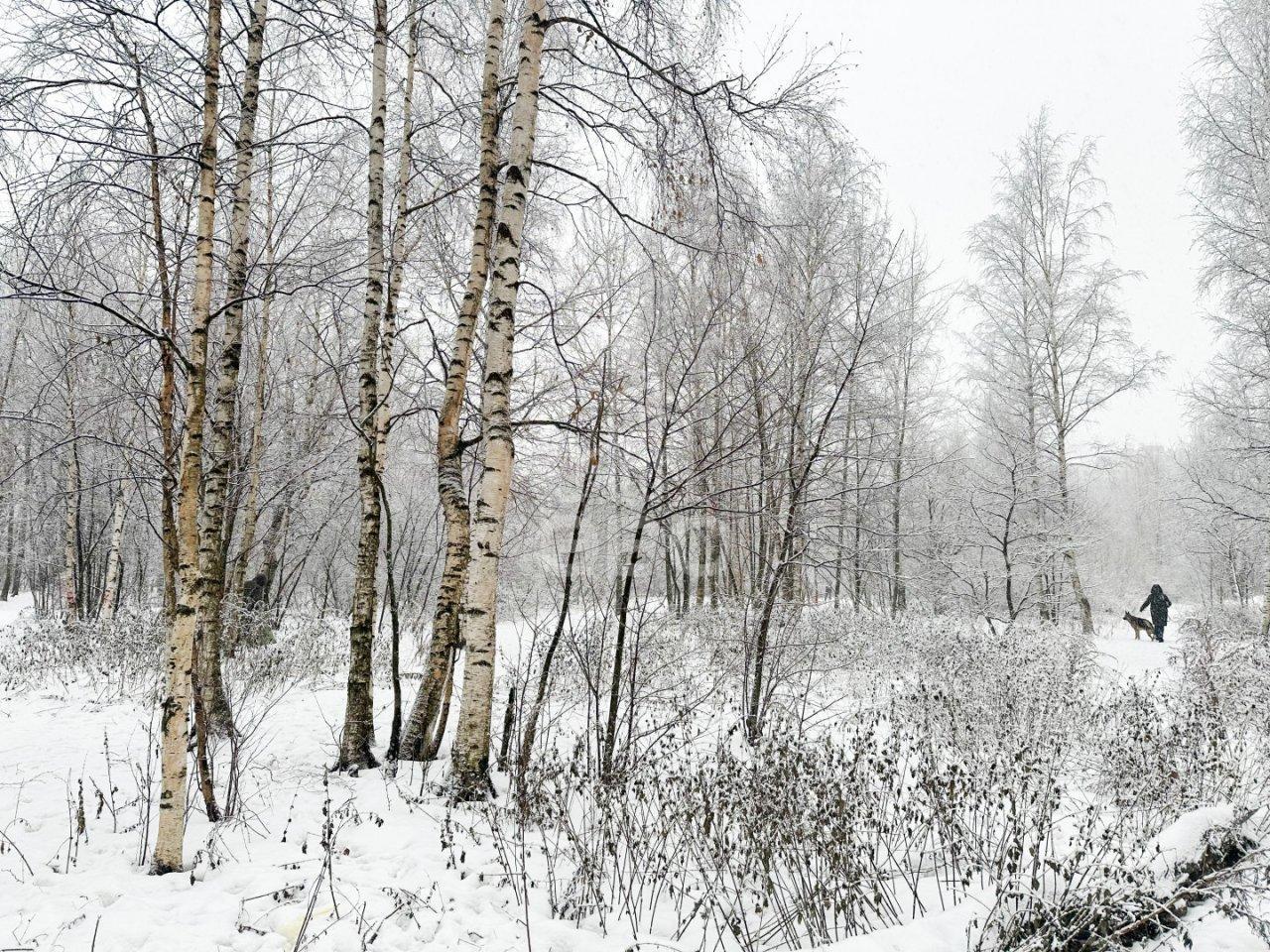 однокомнатная квартира в Санкт-Петербурге по адресу: Итальянский пер., 4