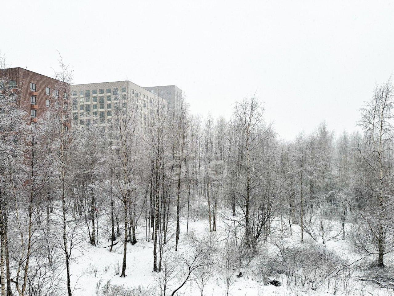 однокомнатная квартира в Санкт-Петербурге по адресу: Итальянский пер., 4