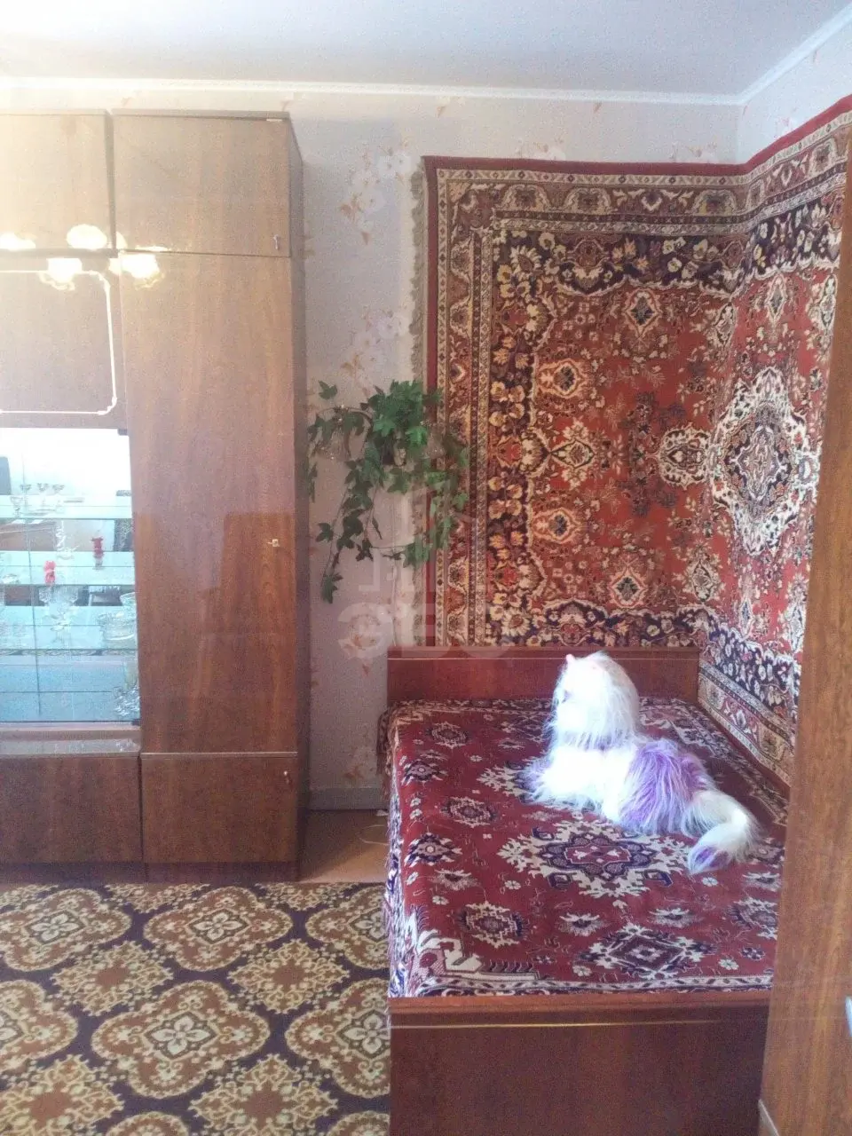 двухкомнатная квартира в Санкт-Петербурге по адресу: Бухарестская ул., 124/56, литера А