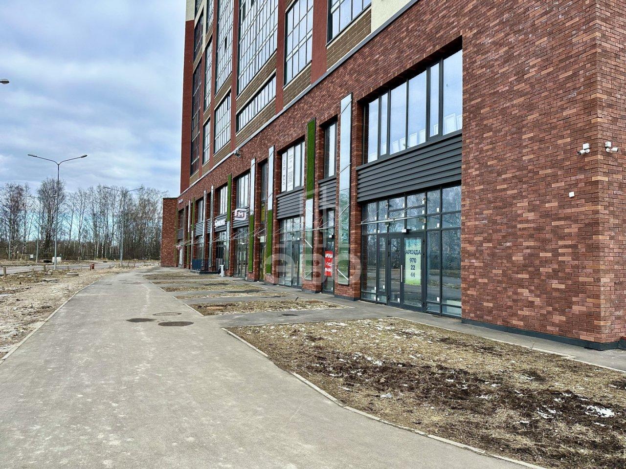 коммерция в Санкт-Петербурге по адресу: Европейский проспект, 22