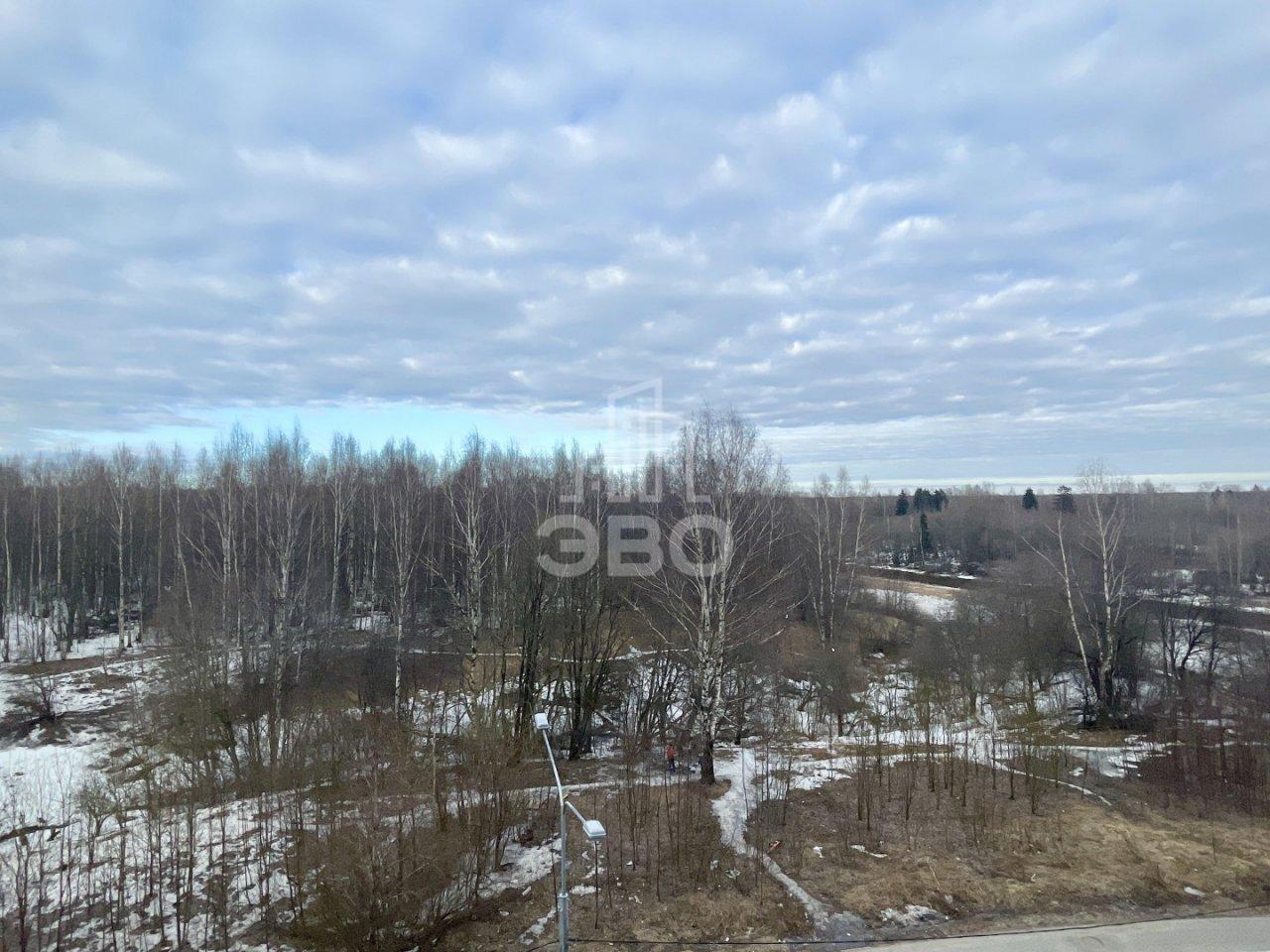 двухкомнатная квартира в Санкт-Петербурге по адресу: Пейзажная ул., 12