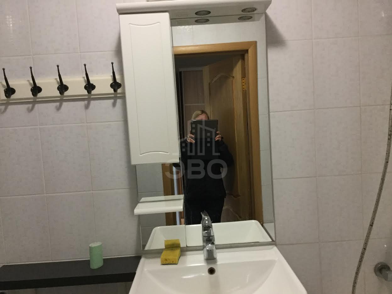 однокомнатная квартира в Санкт-Петербурге по адресу: Ново-Александровская ул., 14