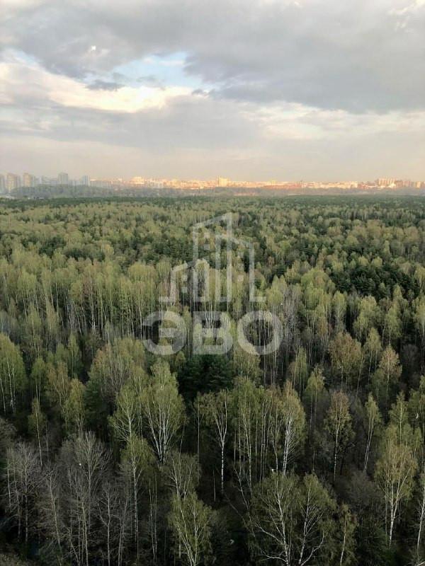 студия в Санкт-Петербурге по адресу: Реки Каменки наб., 23