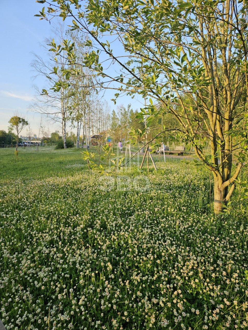двухкомнатная квартира в Санкт-Петербурге по адресу: Мебельная ул., 49/92, литера А