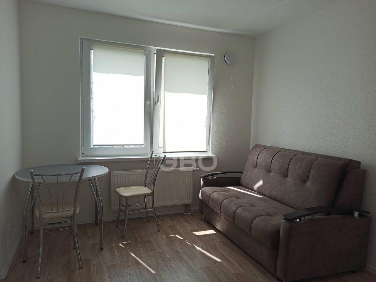 однокомнатная квартира в Санкт-Петербурге по адресу: Чарушинская ул., 24, к 1