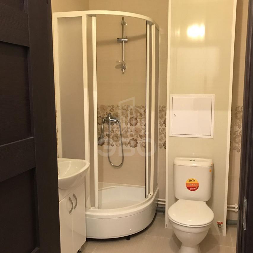 однокомнатная квартира в Санкт-Петербурге по адресу: Европейский пр-кт., 8