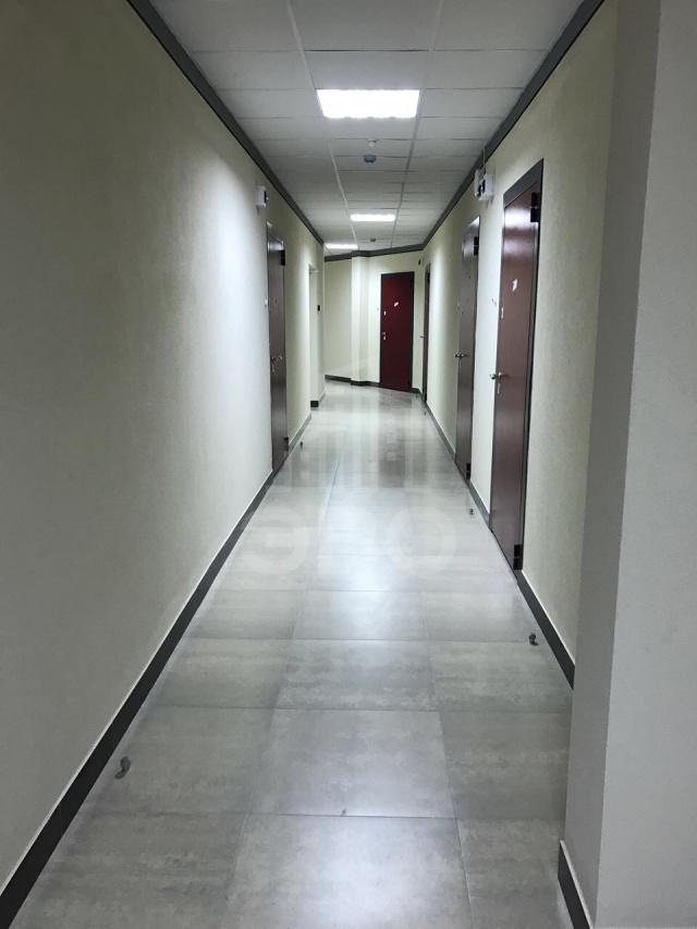 однокомнатная квартира в Санкт-Петербурге по адресу: Европейский пр-кт., 8