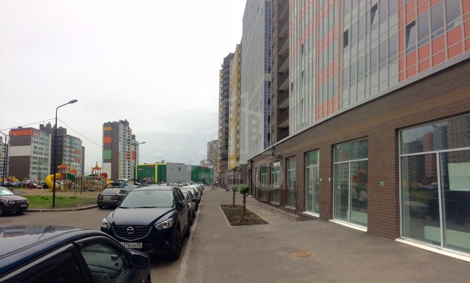 однокомнатная квартира в Санкт-Петербурге по адресу: Европейский пр-кт., 8