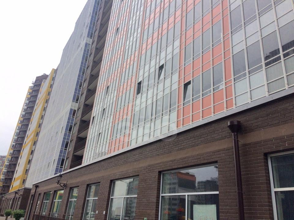 однокомнатная квартира в Санкт-Петербурге по адресу: Европейский пр-кт., 8