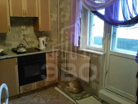 однокомнатная квартира в Санкт-Петербурге по адресу: Савушкина ул., 115, к.3